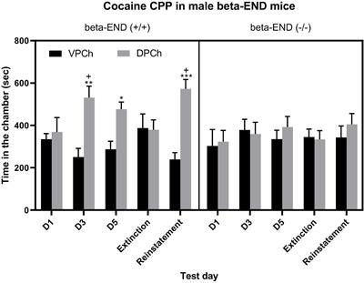 The Role of Beta-Endorphin in Cocaine-Induced Conditioned Place Preference, Its Extinction, and Reinstatement in Male and Female Mice
